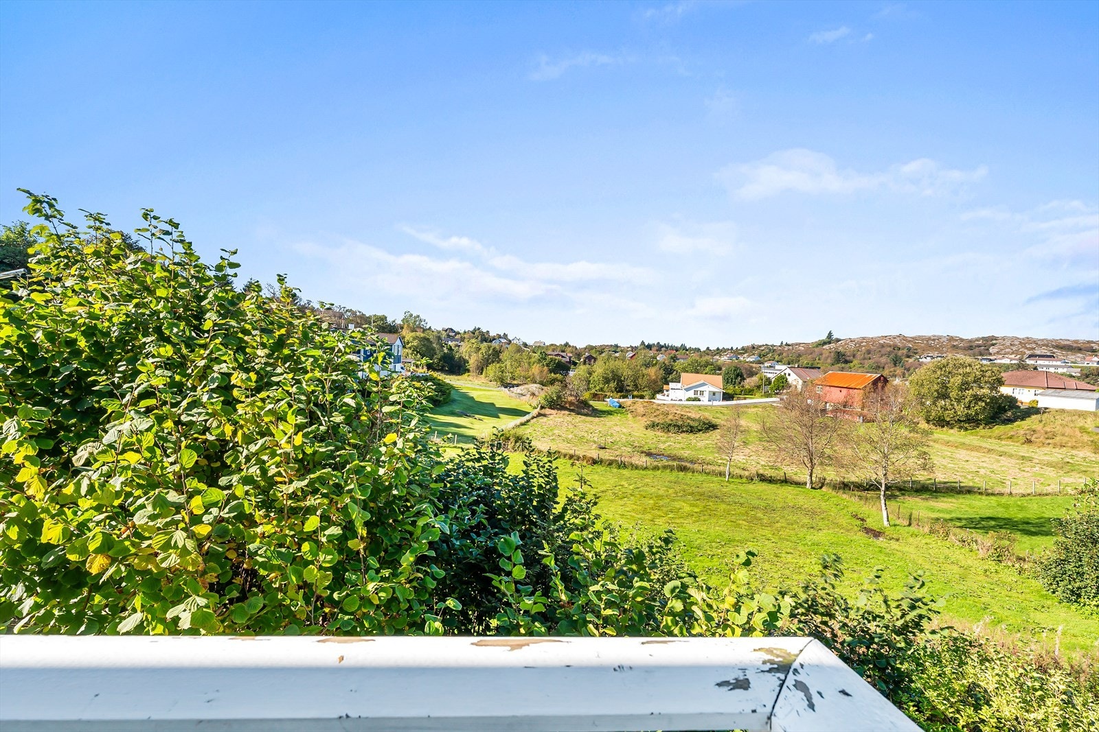 Flott utsikt Galleribilde