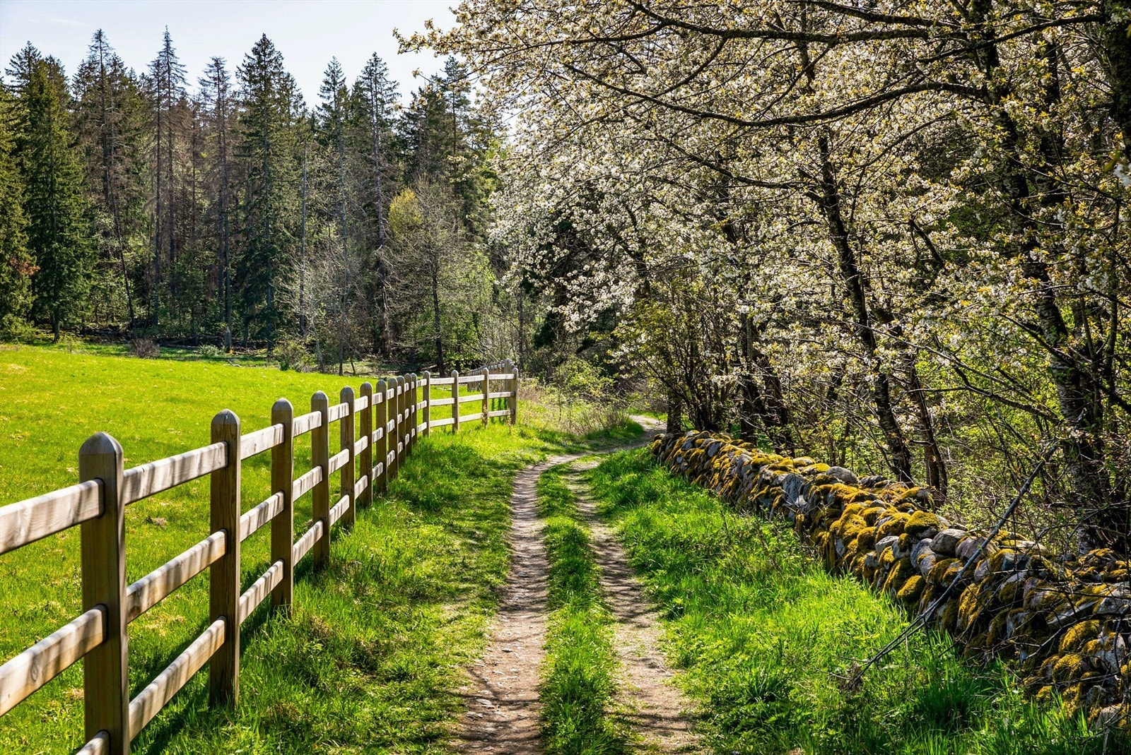 Nærmiljø på idylliske Jeløy. Galleribilde