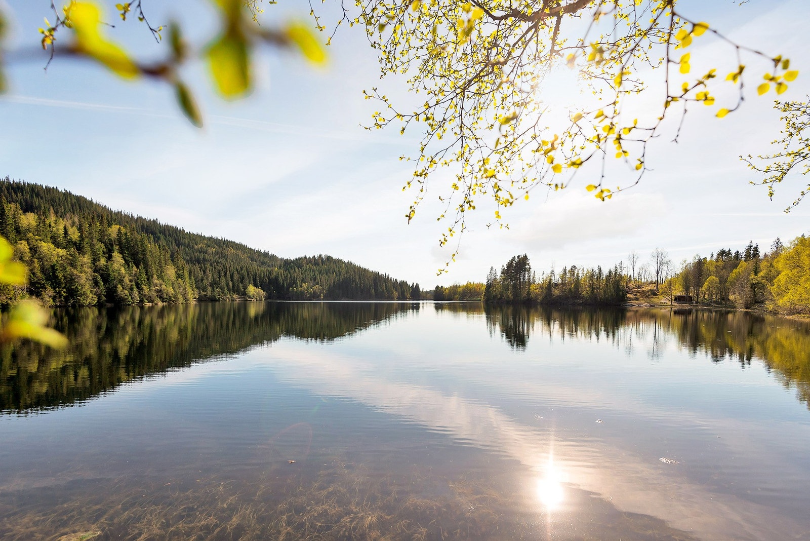 Estenstadmarka med helårs turløyper Galleribilde