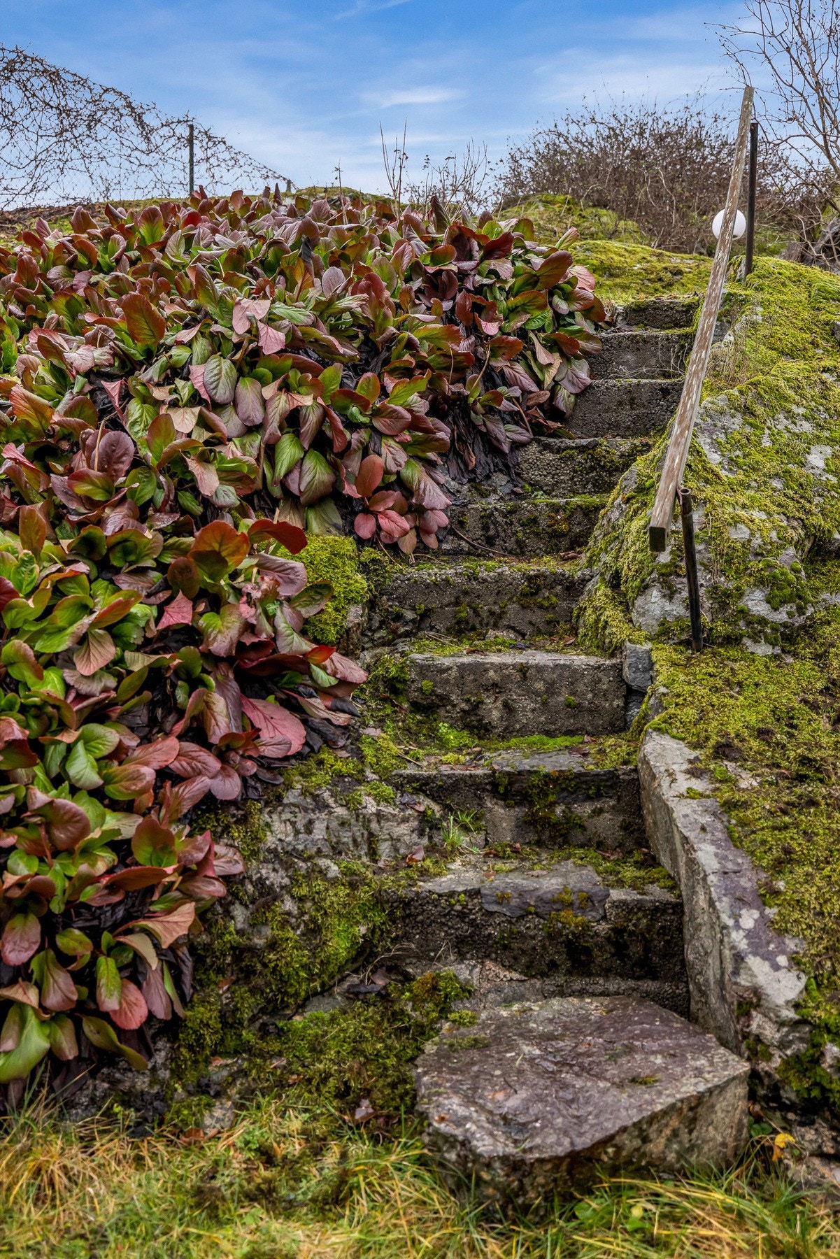 Pent opparbeidet hage. Galleribilde