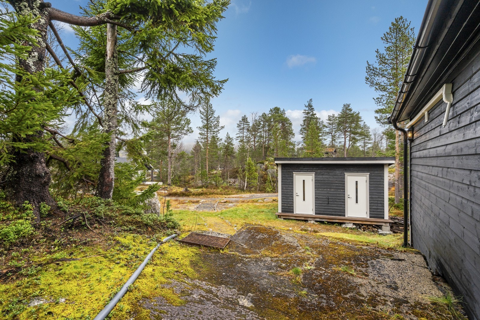 Tomtebilde Galleribilde