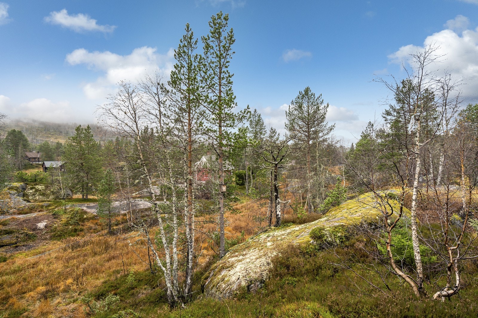 Tomtebilde Galleribilde