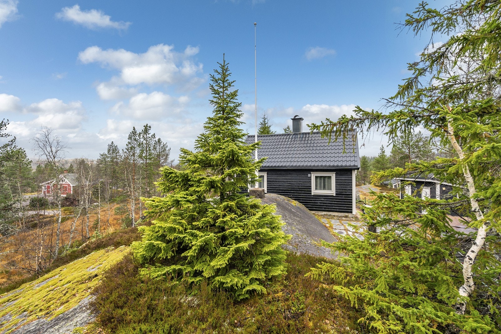 Tomtebilde Galleribilde