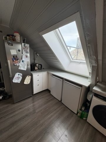 Stort kjøleskap og to frysere Galleribilde