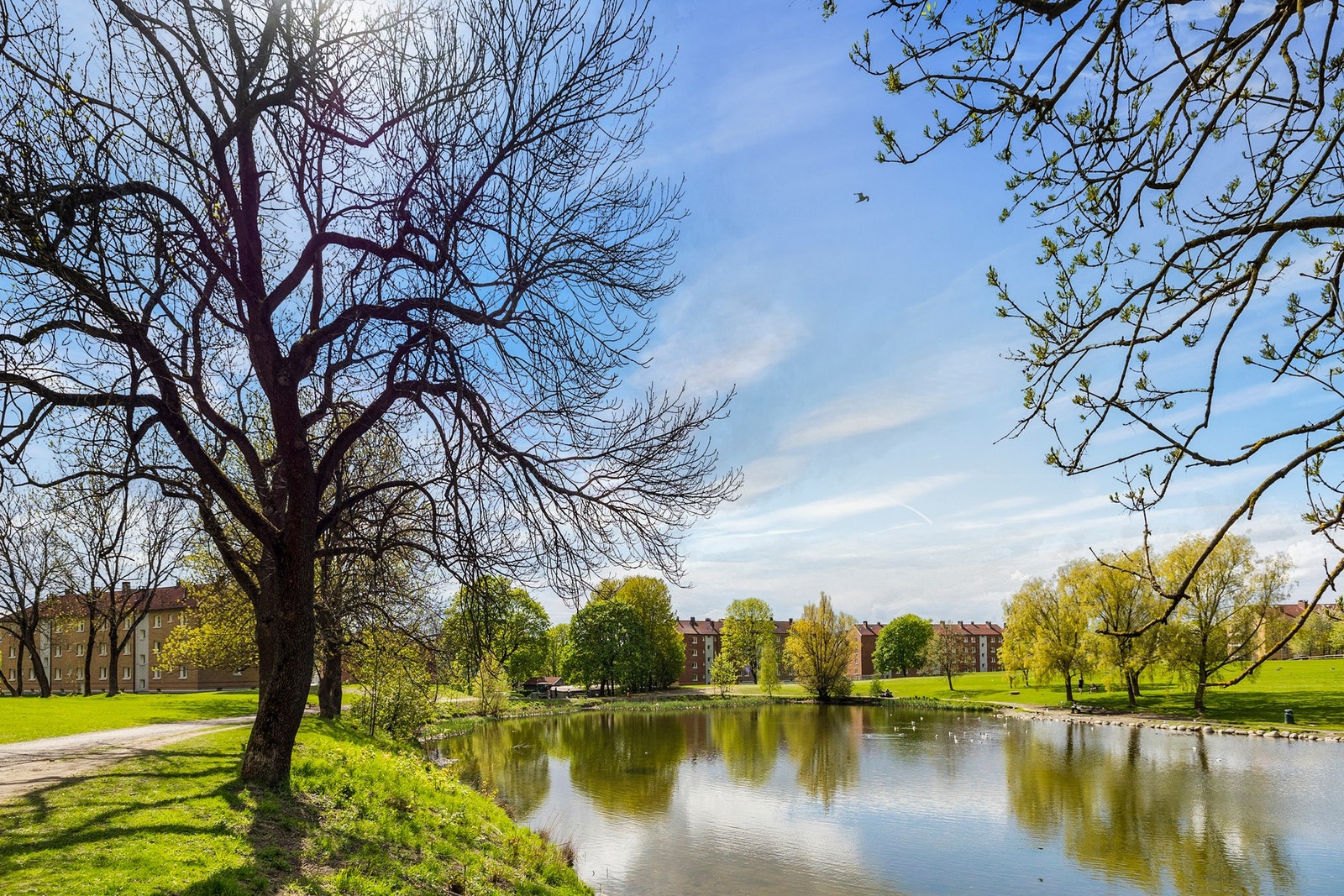 Ved Valle Hovin finner du Hovindammen, en liten idyll med omkringliggende gangstier, sittebenker og grønne lunger Galleribilde