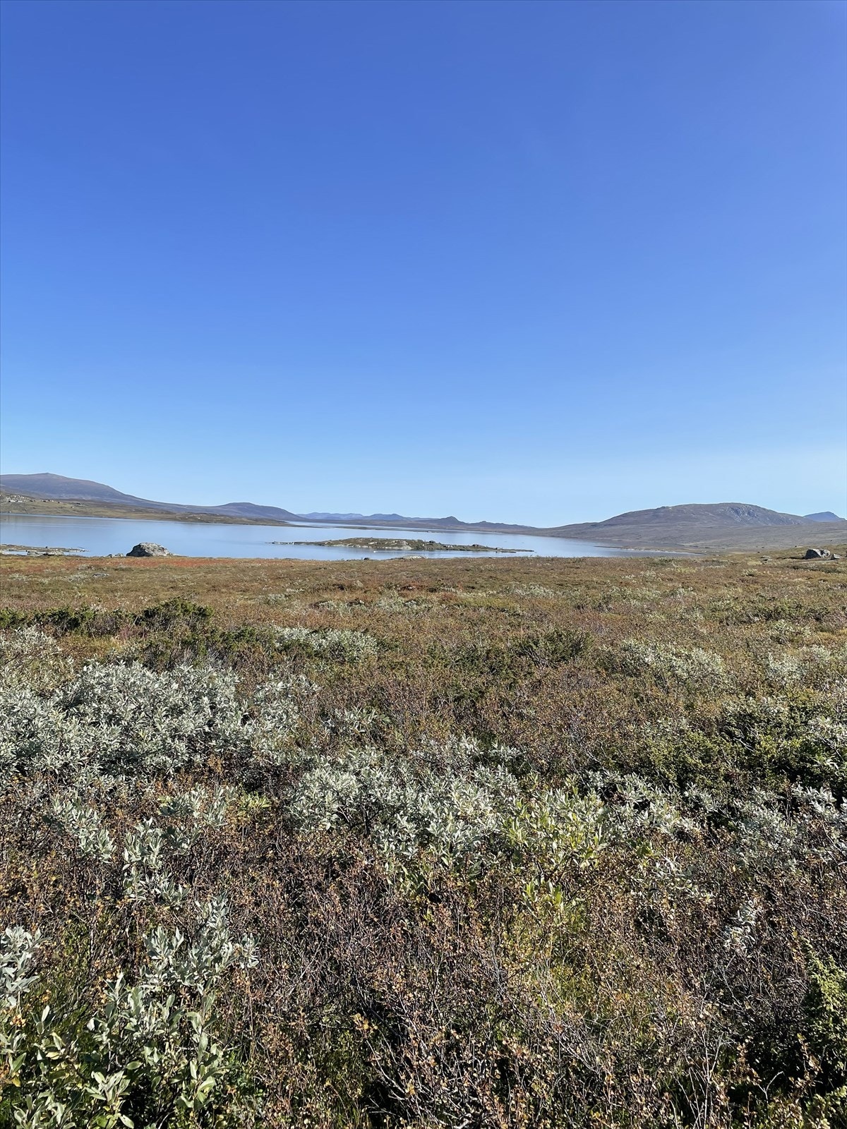 Fra området - selgers eget foto. Galleribilde