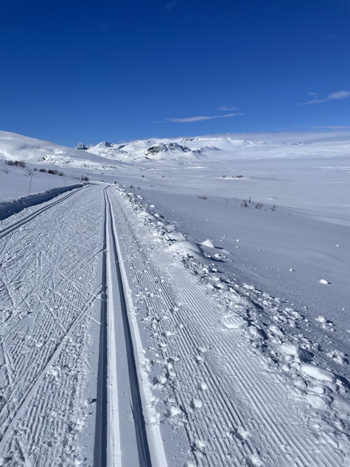 Selgers eget foto. Galleribilde