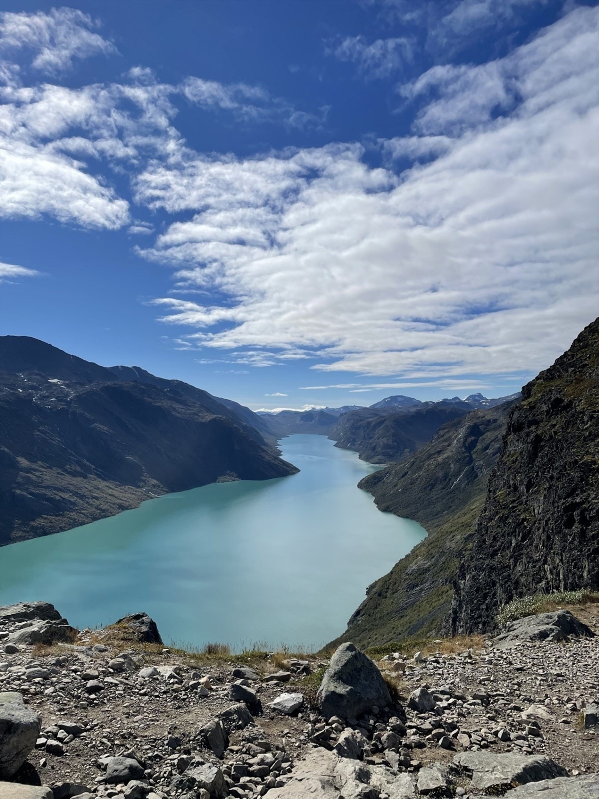 Selgers eget foto. Galleribilde