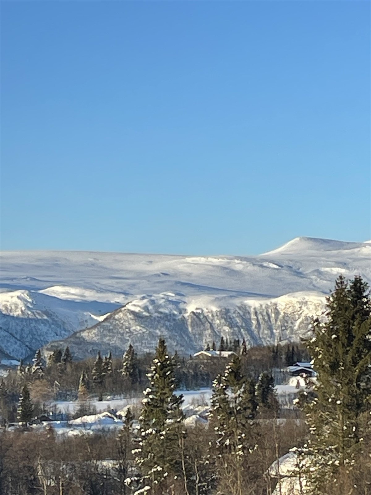 Selgers eget foto. Galleribilde