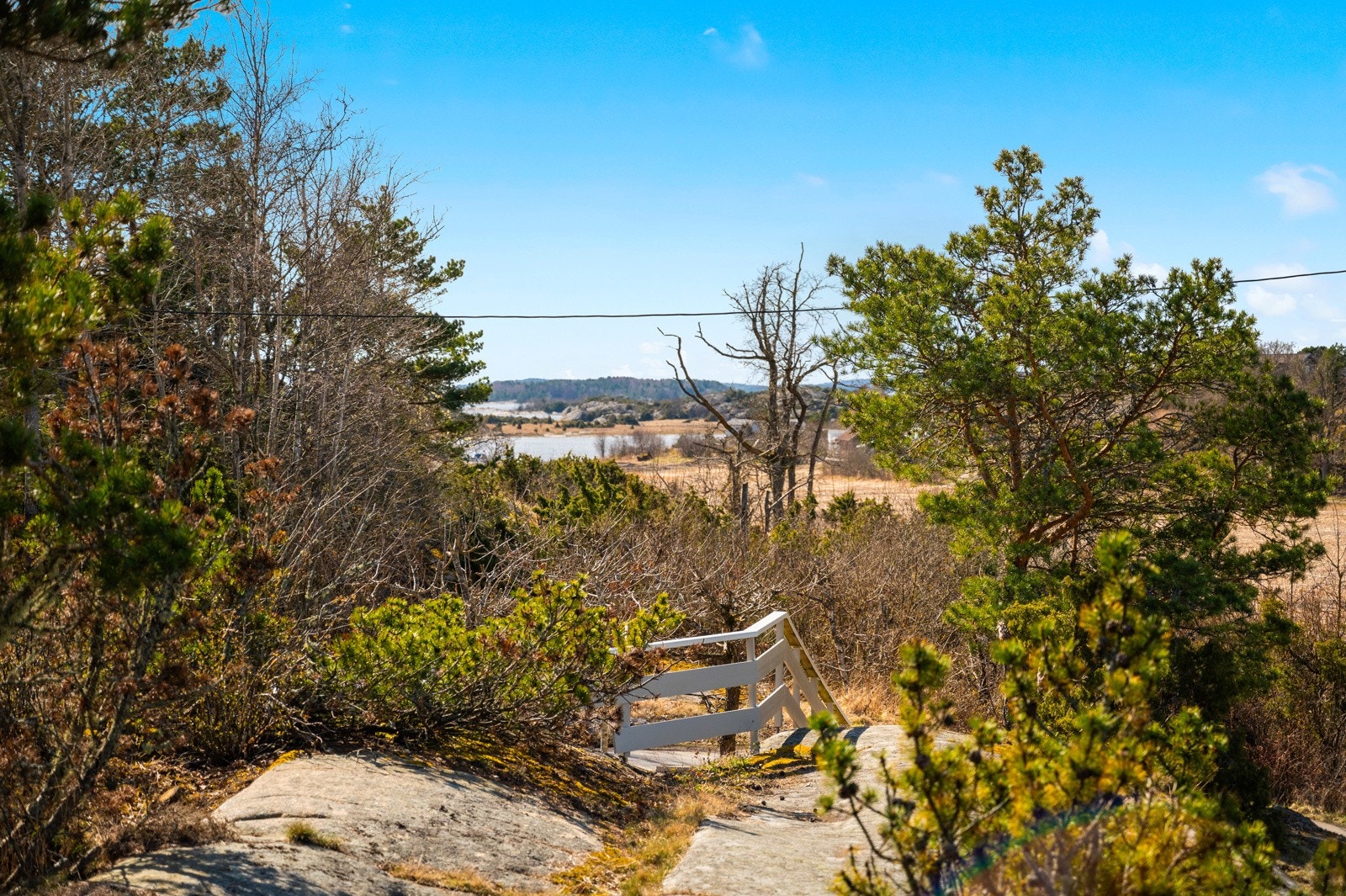 Det er rusleavstand til sjøen med brygge og båtplass, her sett fra tomta Galleribilde
