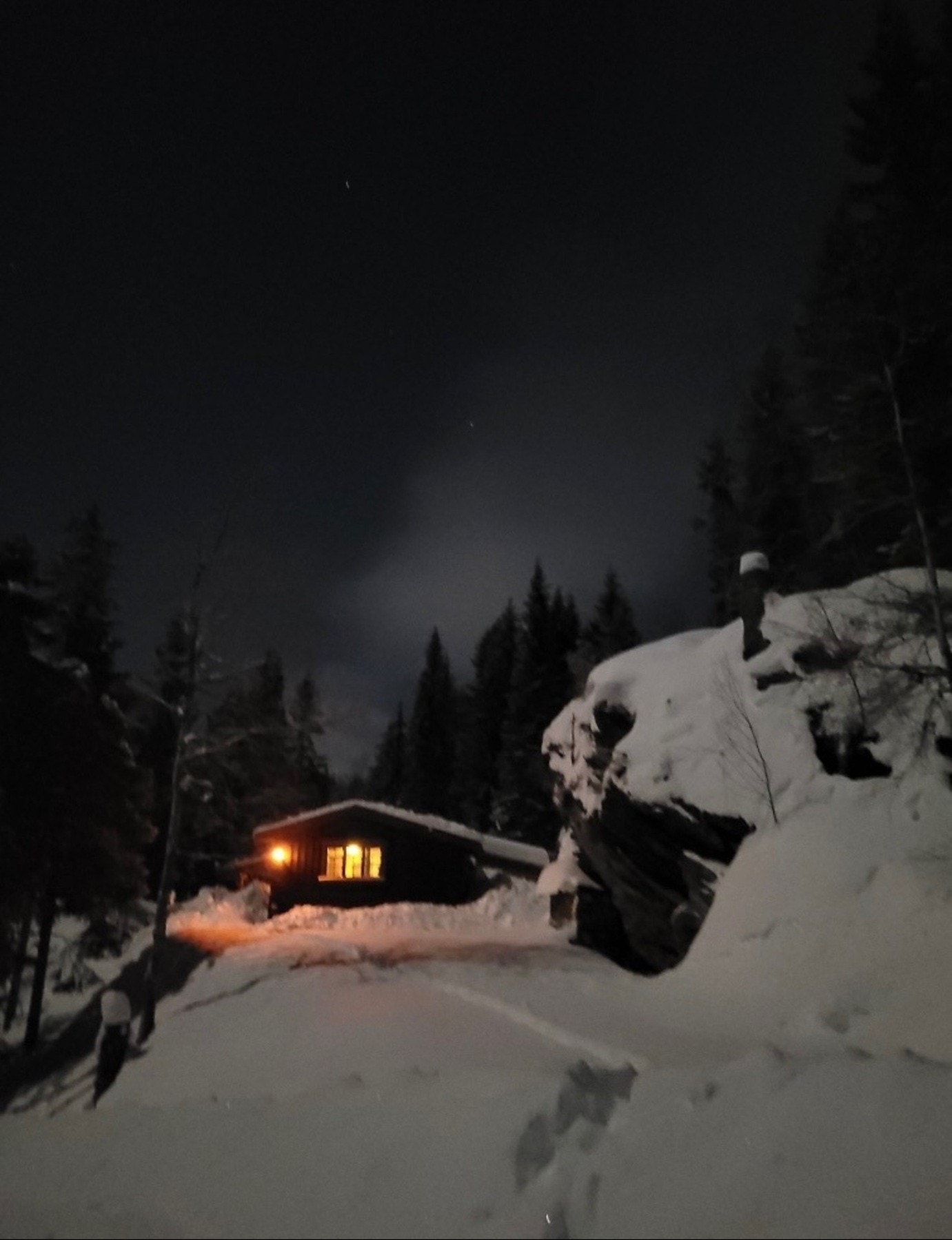 Selgers private bilder. Galleribilde