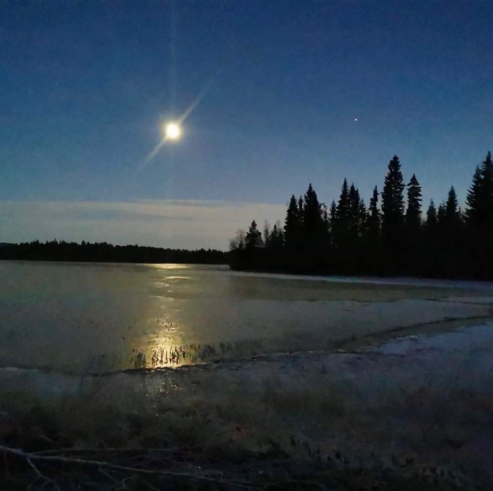 Selgers private bilder. Galleribilde