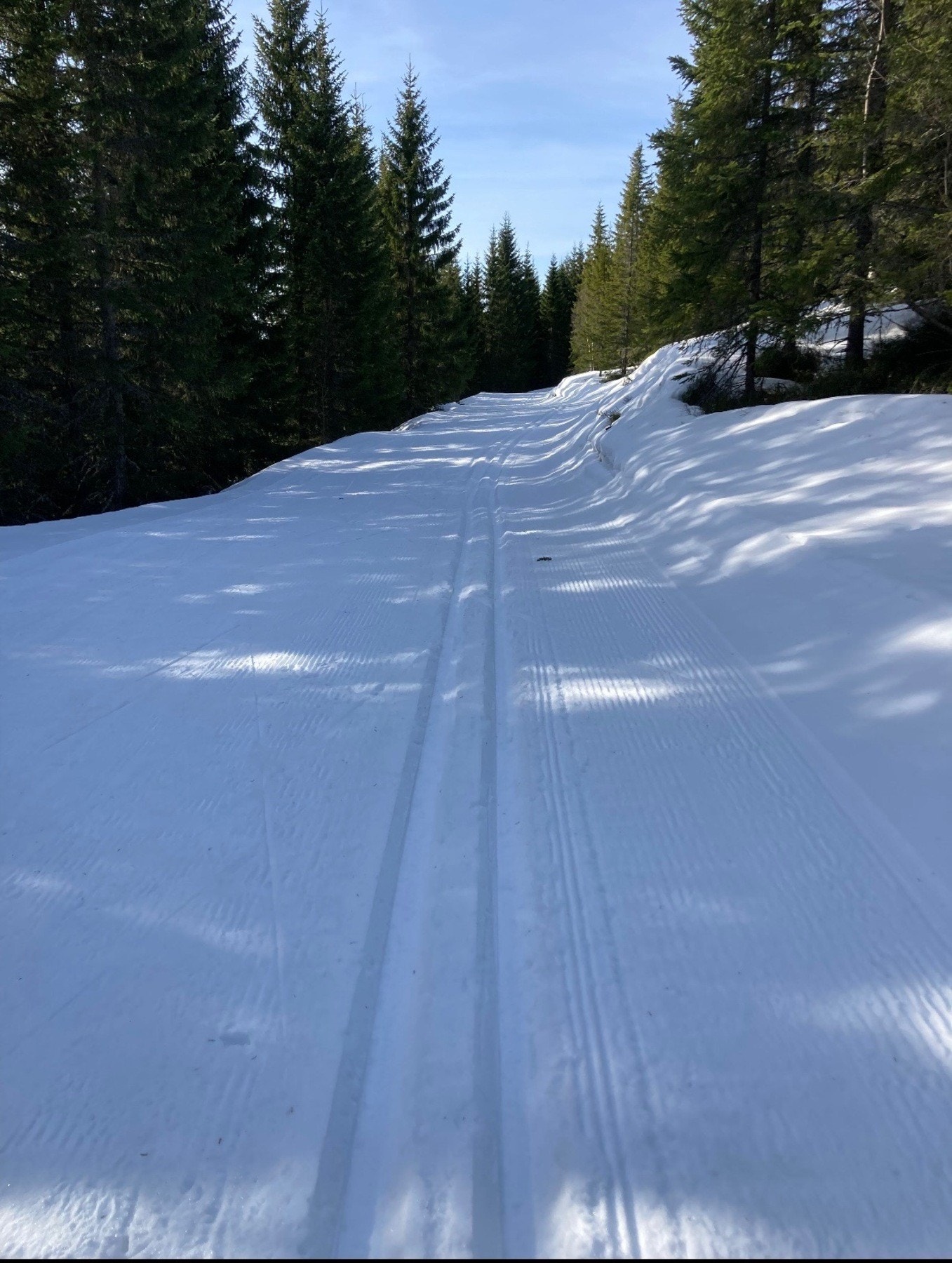 Selgers private bilder. Galleribilde