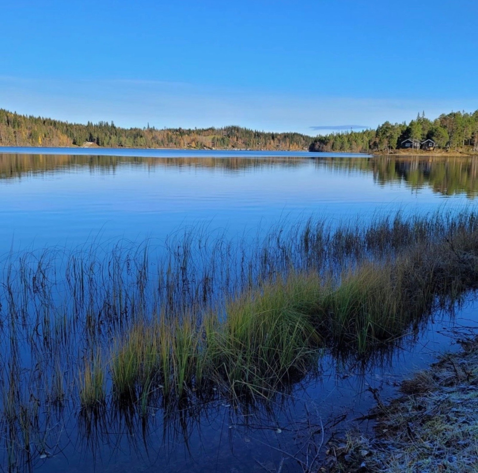 Selgers private bilder. Galleribilde