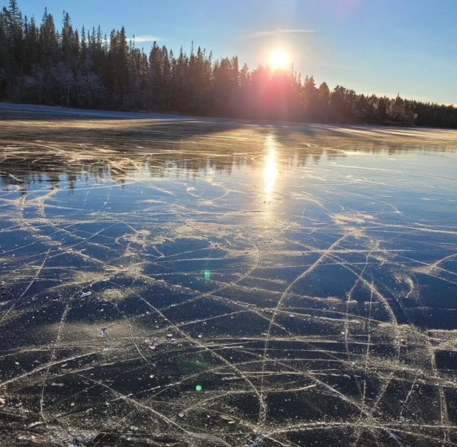 Selgers private bilder. Galleribilde