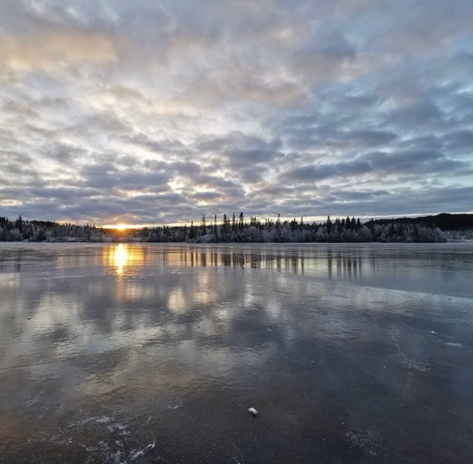 Selgers private bilder. Galleribilde