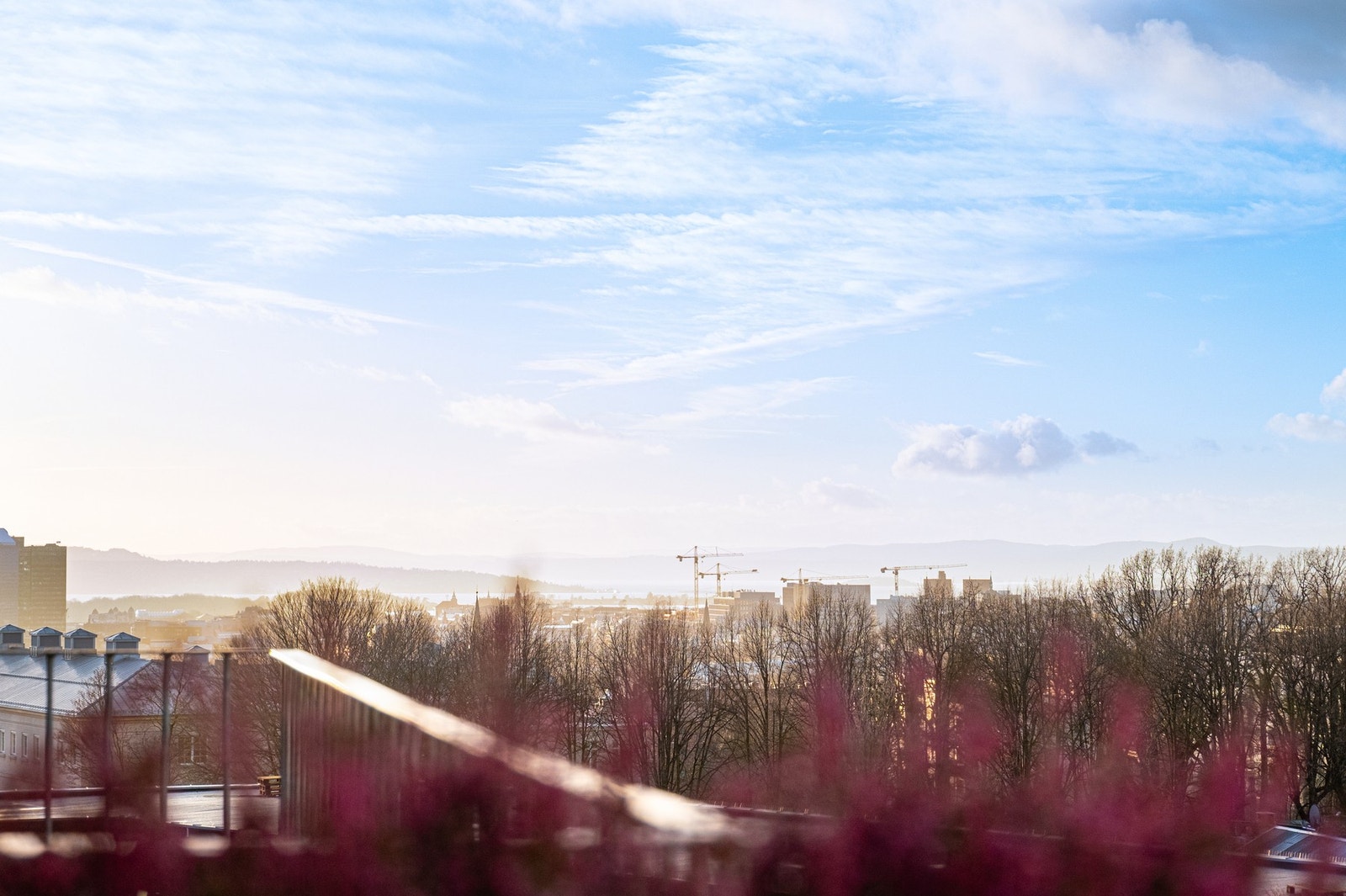 Fra balkongen har du svært gode solforhold og fjordutsikt. Galleribilde