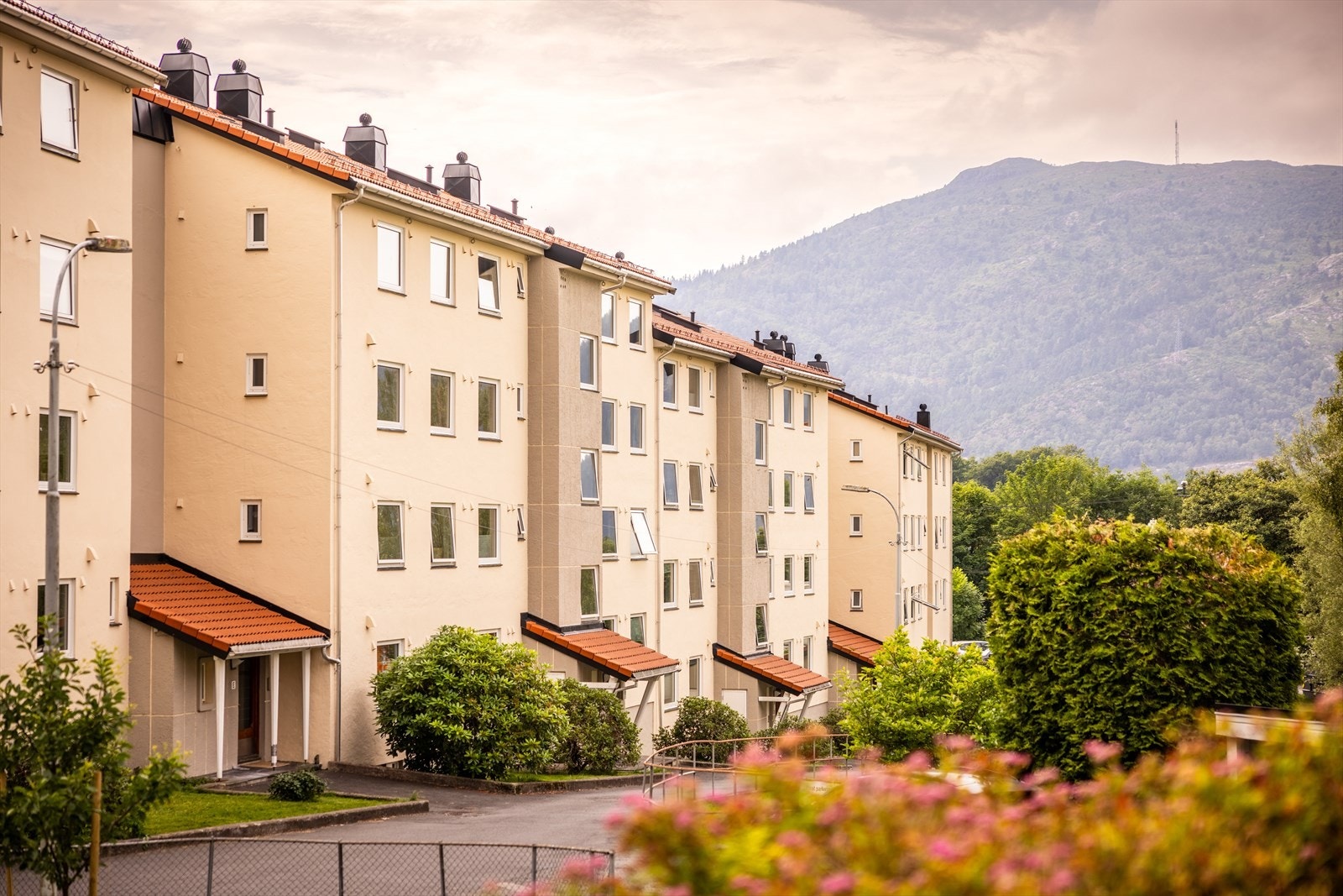 I 2009/2010 ble taktekking skiftet Galleribilde