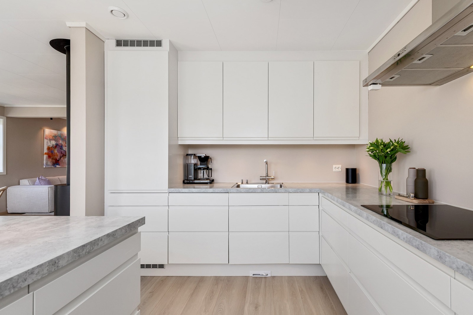 Det er integrerte hvitevarer, kjøl/fryseskap, oppvaskmaskin, induksjonstopp og stekeovn. Galleribilde