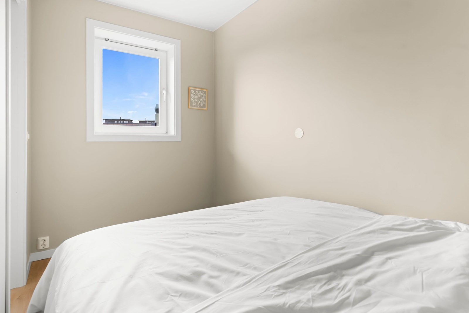 Lysinnslipp fra vindu. Galleribilde