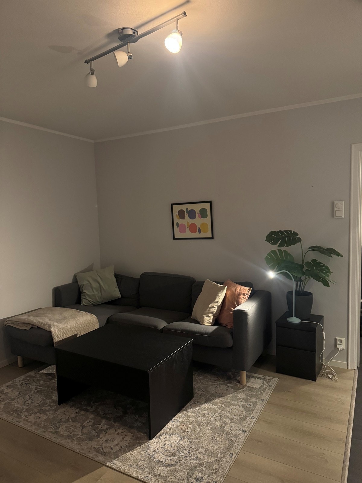 Lys og pen stue med hyggelig sofagruppe og spisegruppe Galleribilde