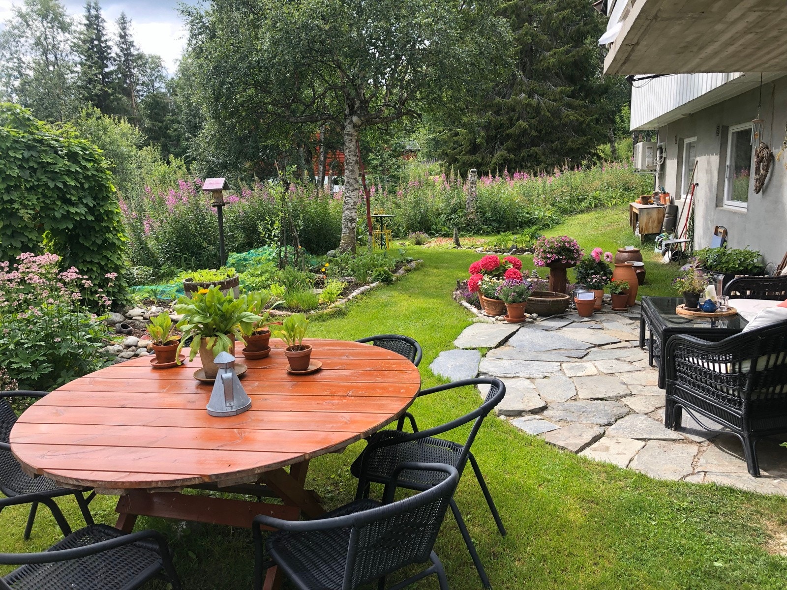 IMG_5605 Galleribilde