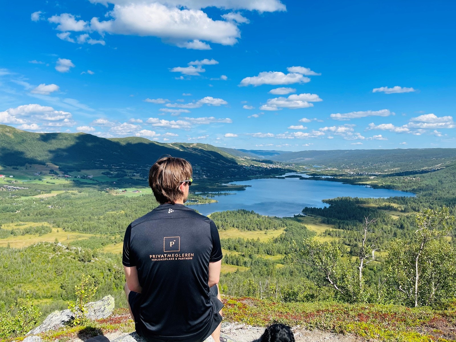 Geilo sommer Galleribilde