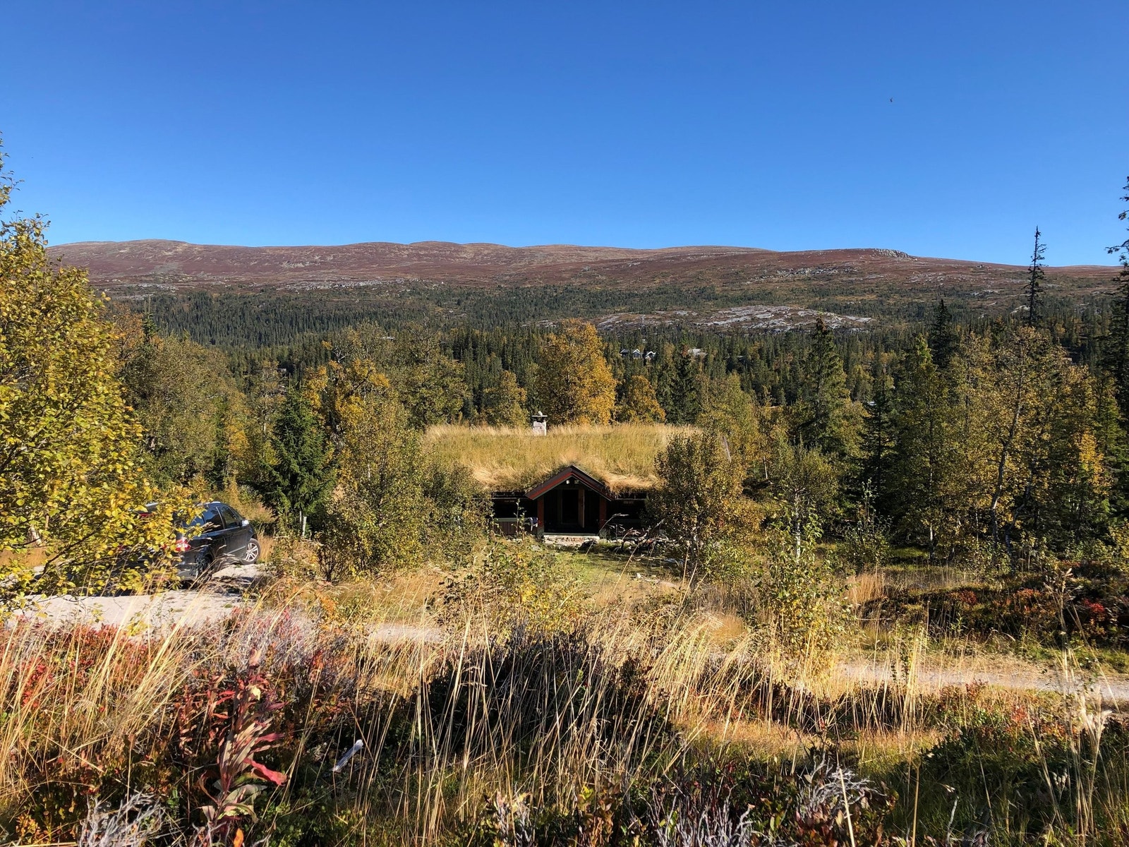 Hytta sklir flott inn i terrenget Galleribilde