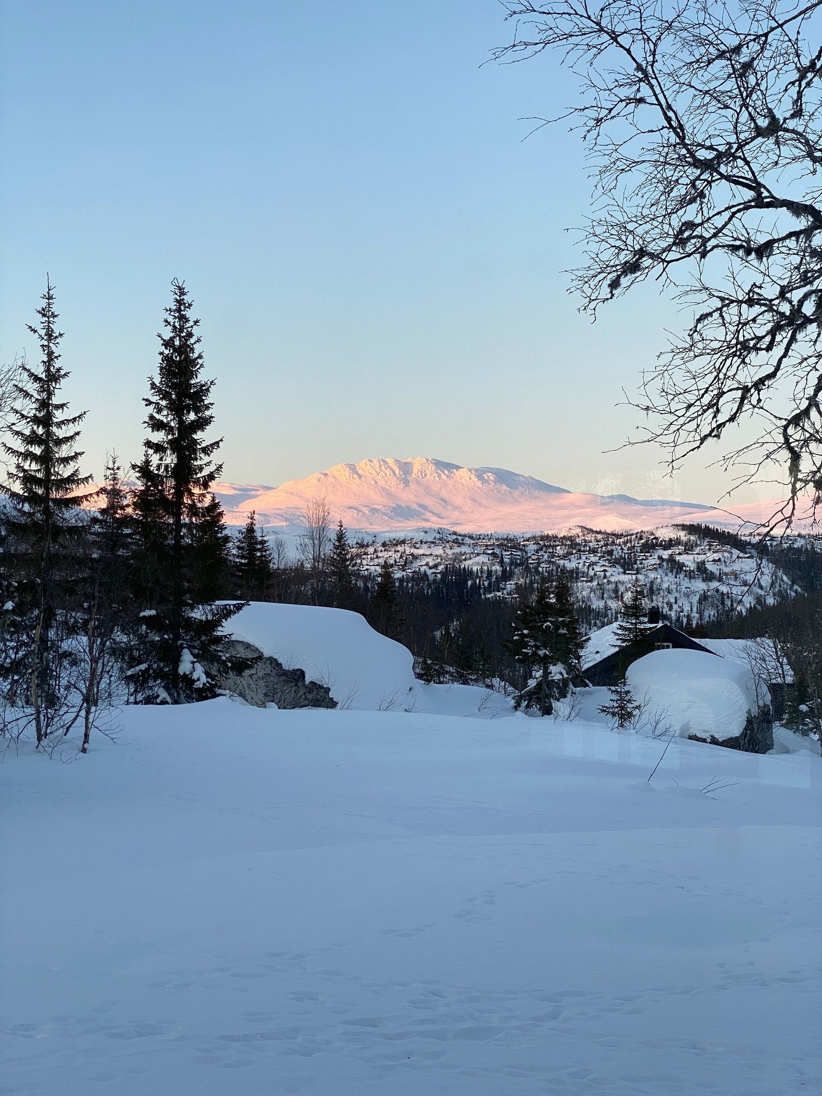 Fredlige omgivelser. Utsikt fra hyttas stue Galleribilde