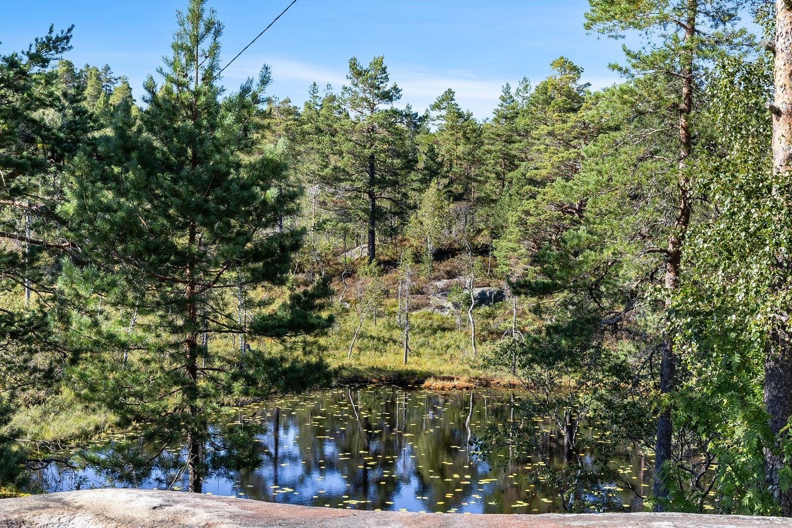 Tjern like nedenfor eiendommen Galleribilde