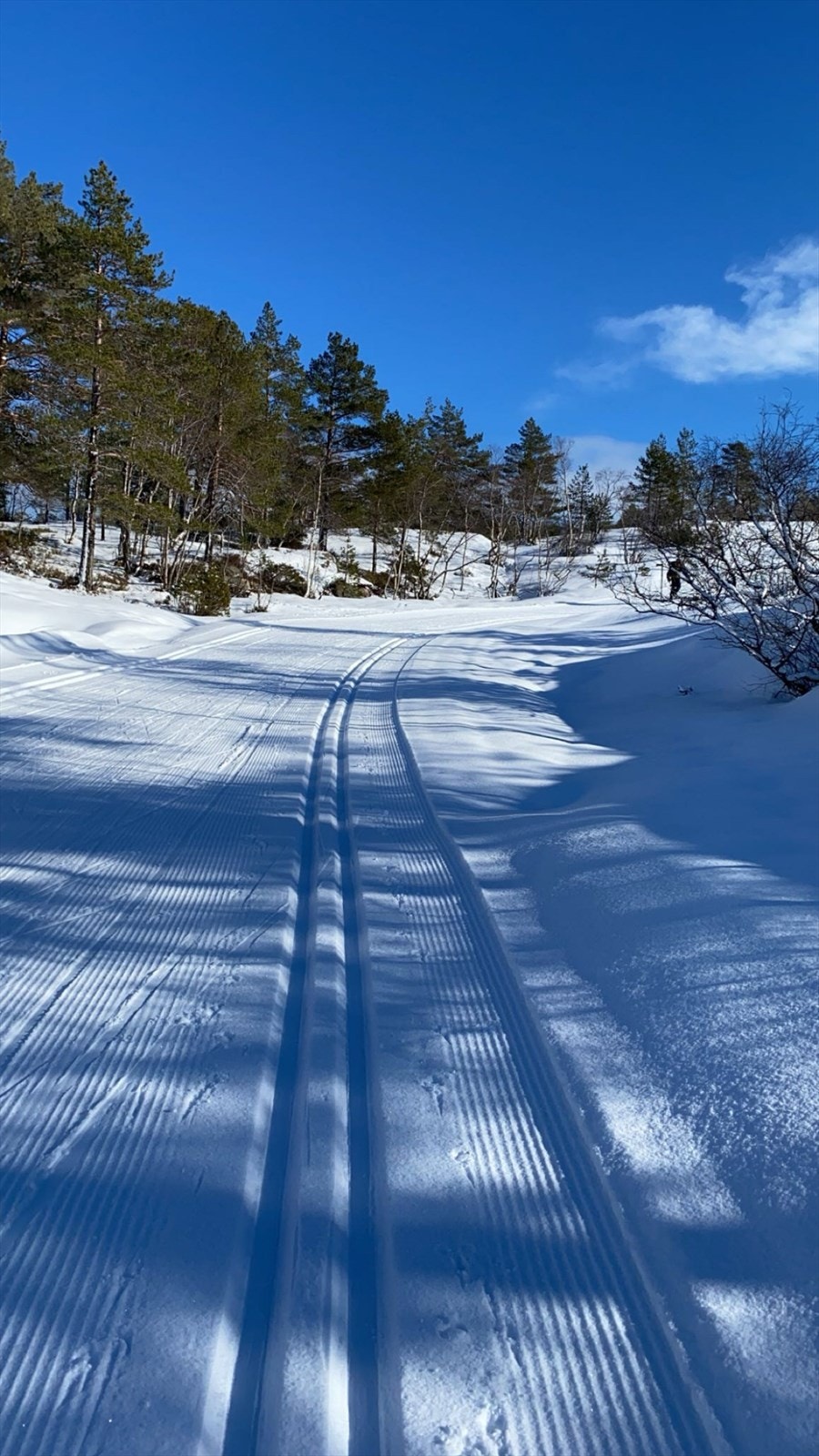 Privat bilde Galleribilde