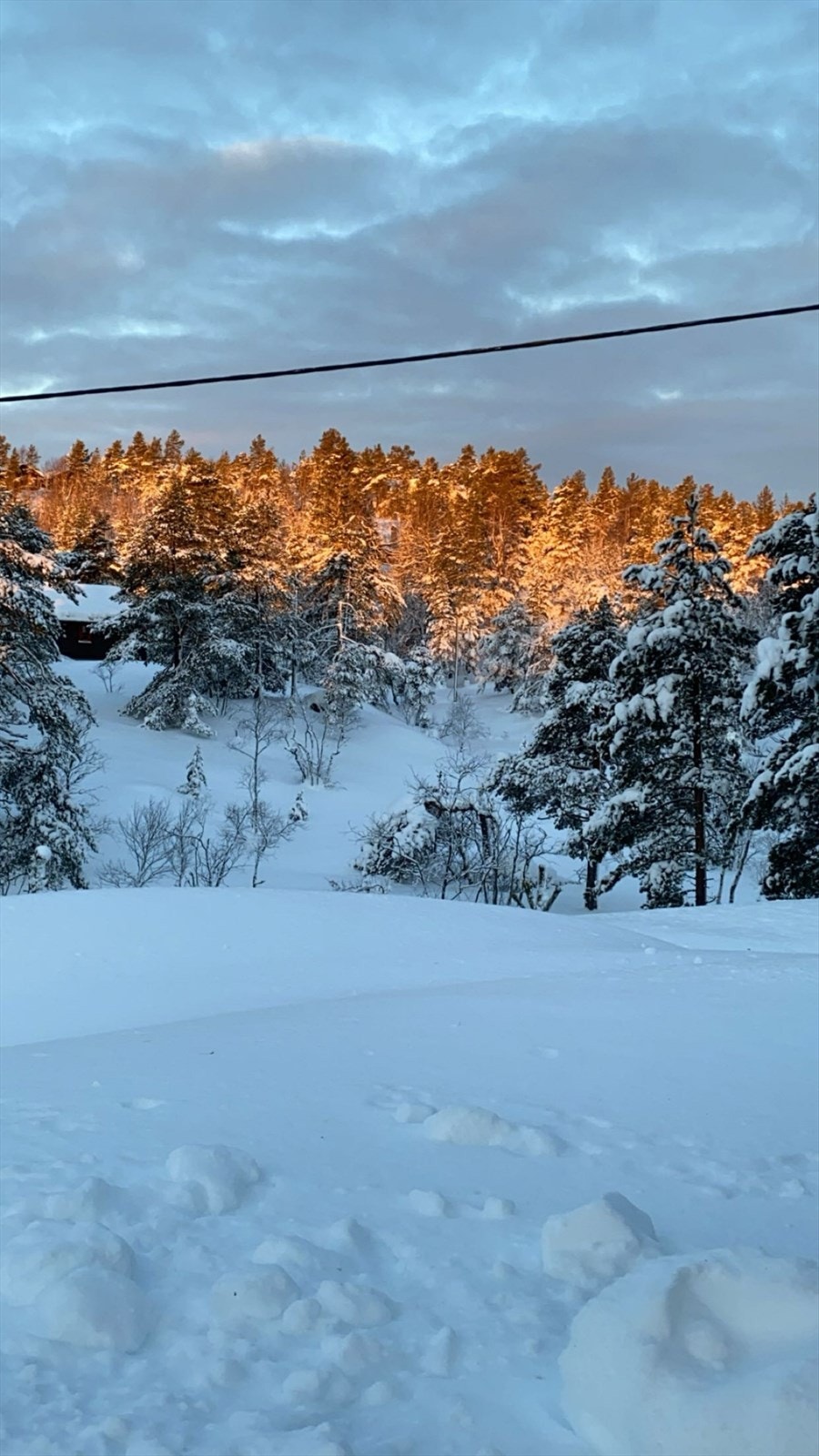 Privat bilde Galleribilde