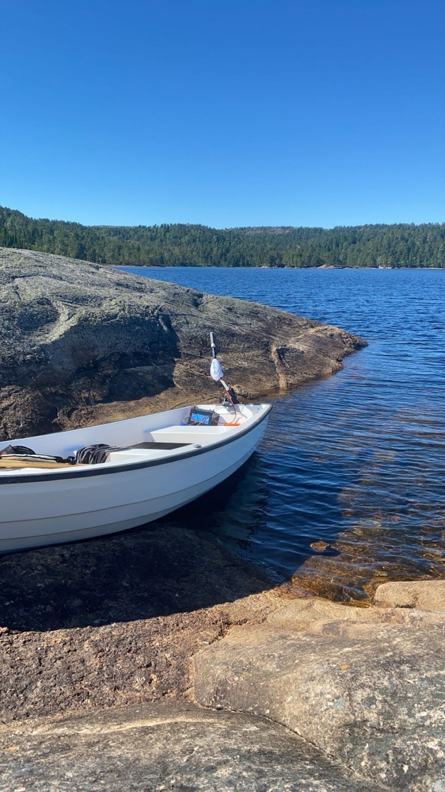 Privat bilde Galleribilde