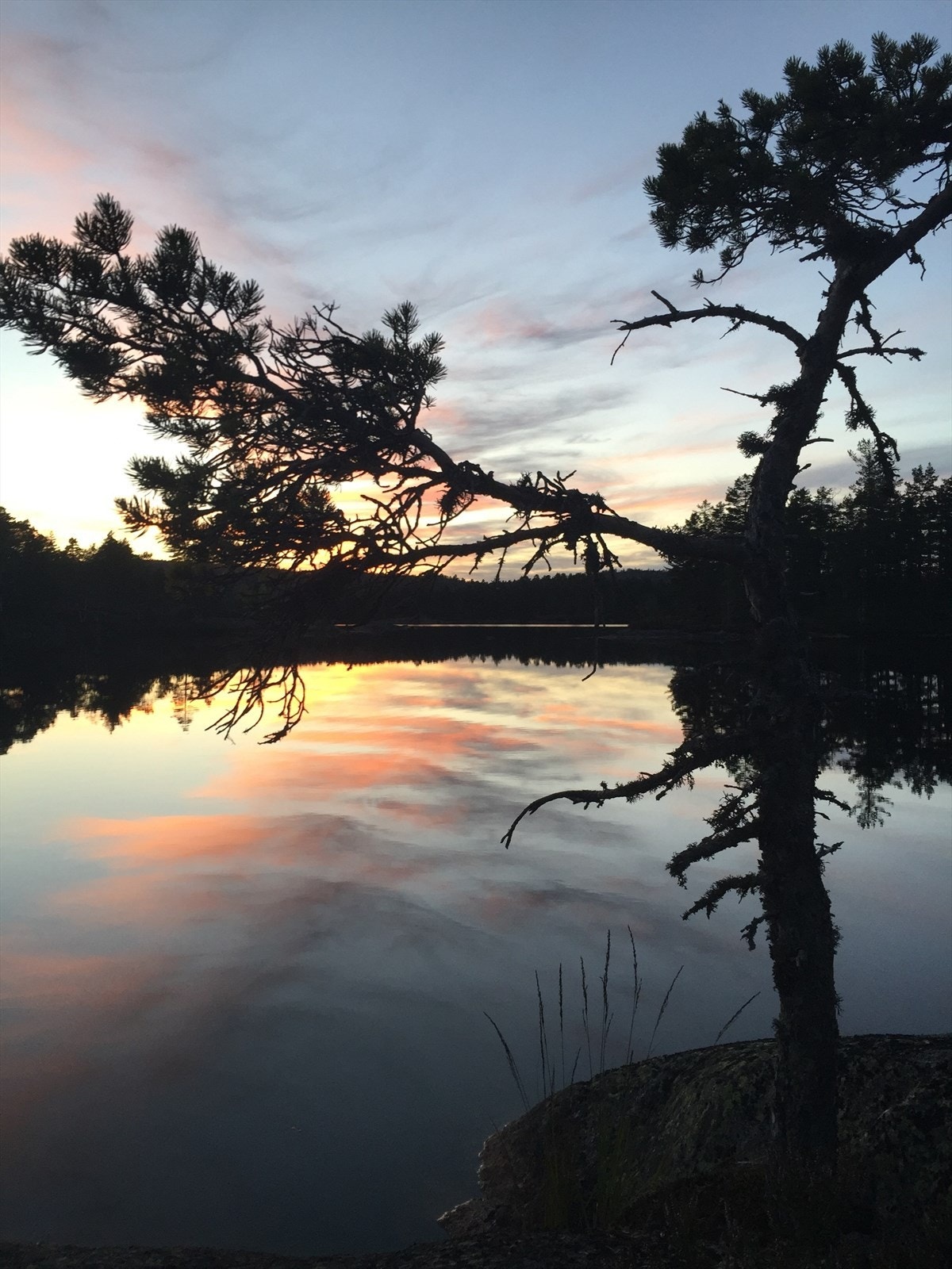 Nærområdet (Privat bilde) Galleribilde