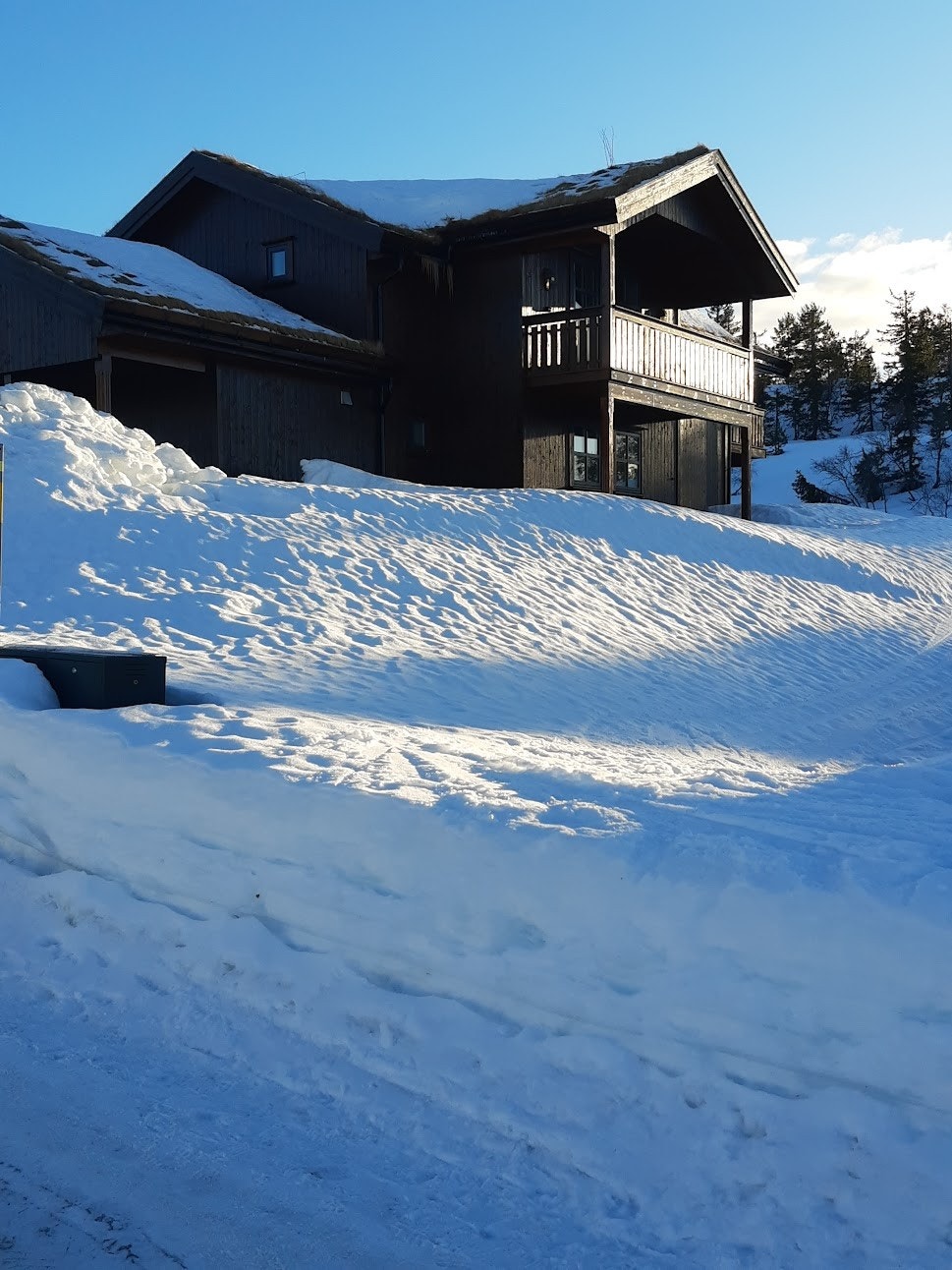 Selgers eget bilde Galleribilde