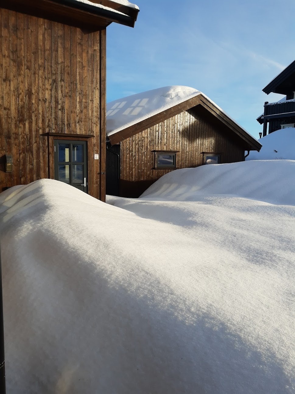 Selgers eget bilde Galleribilde