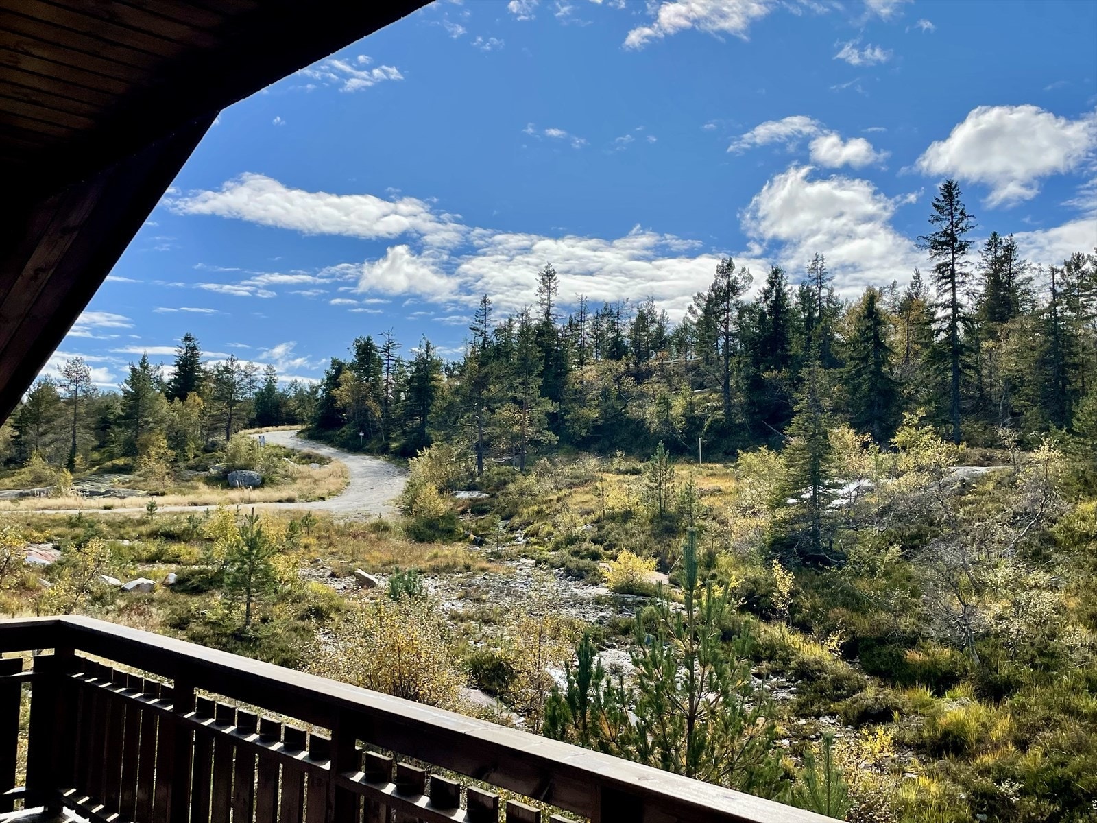 Tur- og skiløypa går rett ovenfor eiendommen. Galleribilde