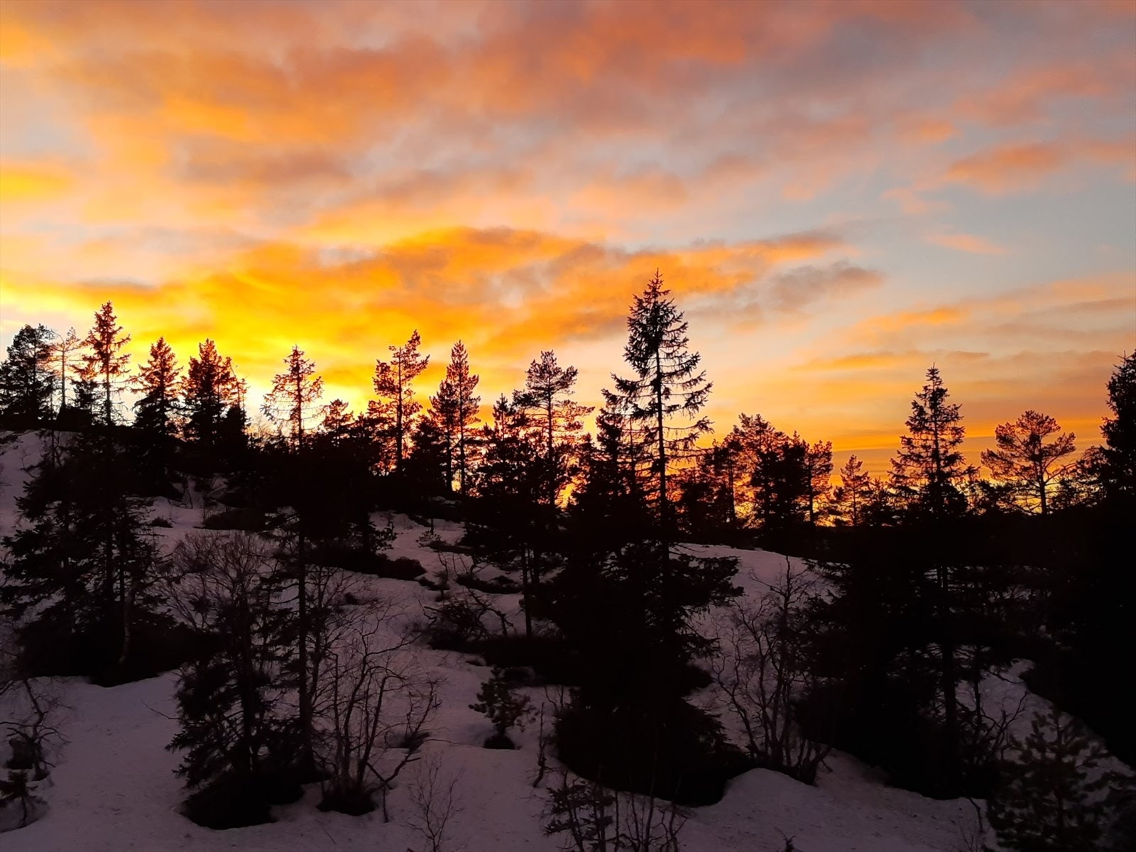 Flott solnedgang - fra balkongen! Galleribilde