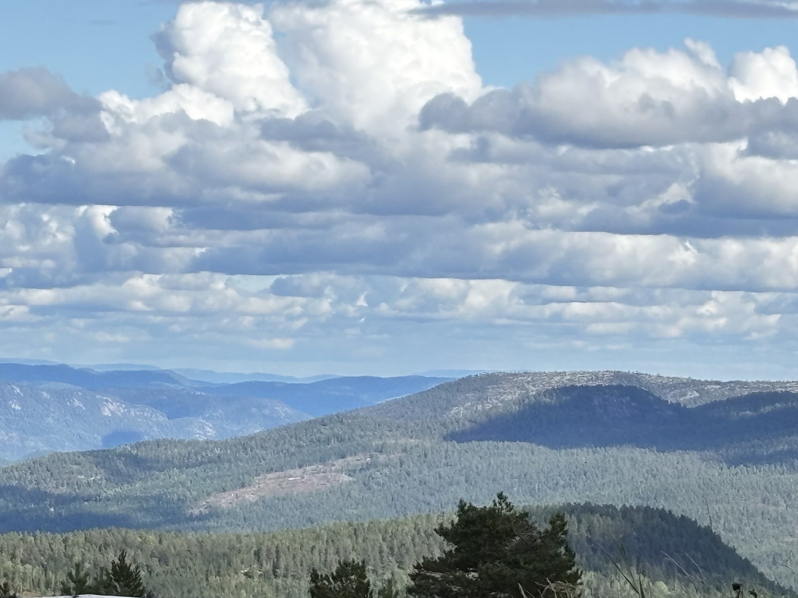 Selgers eget bilde - tatt fra balkongen mot Nissedal Galleribilde