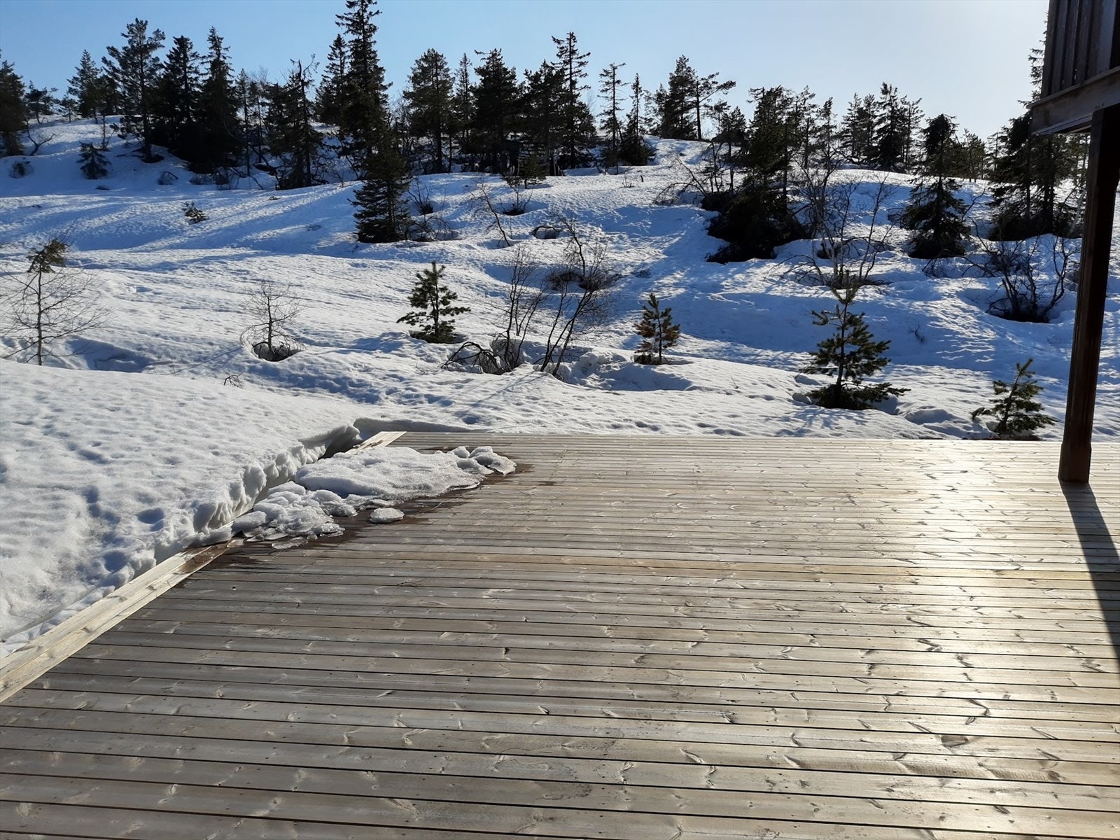 Påskestemning på terrassen. Skiløypa går rett ved. Galleribilde