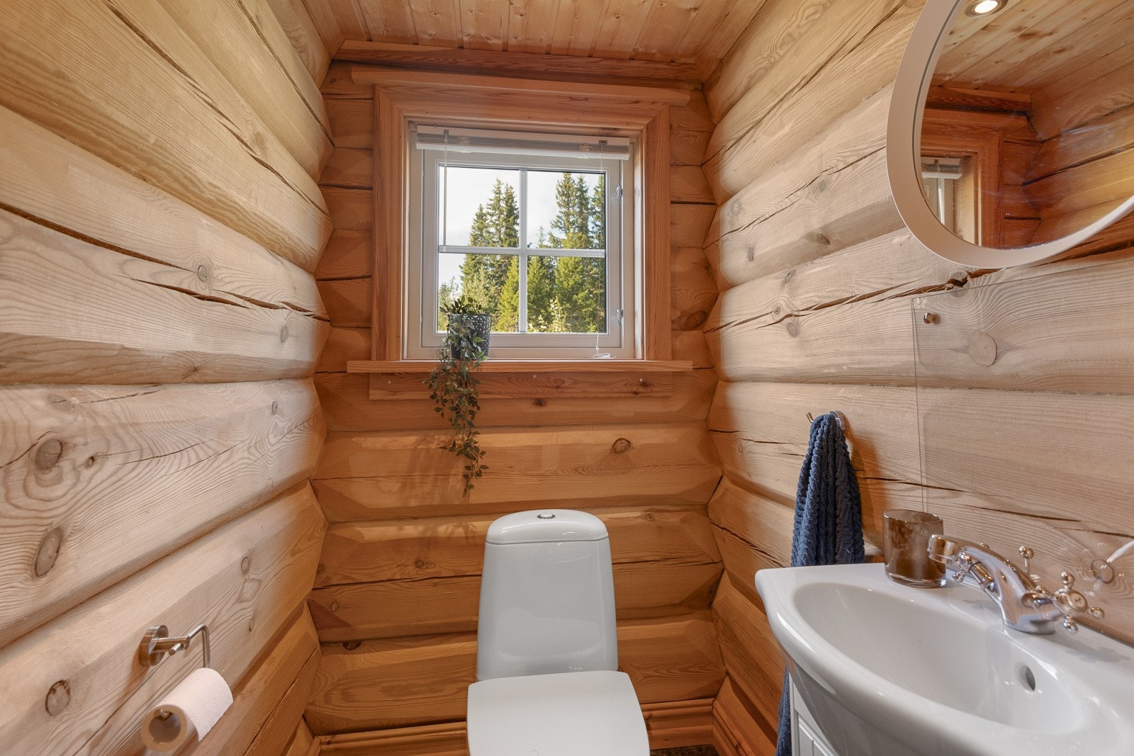 Ved siden av badet i hovedetasjen er det et praktisk, separat toalettrom. Galleribilde