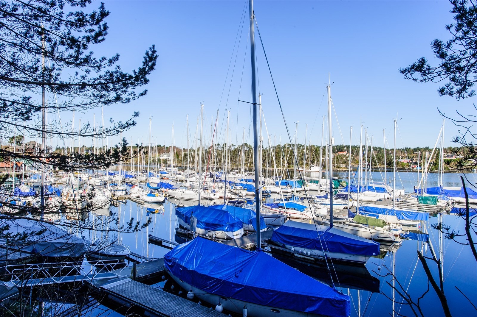 Perfekt for deg som ønsker å bo i grønne omgivelser med kort vei til sjøen og flotte turmuligheter. Galleribilde