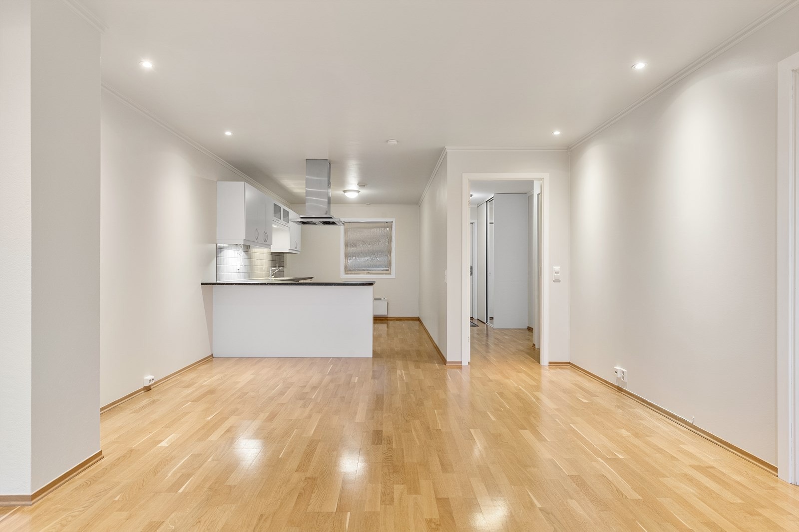 Stue/kjøkken Galleribilde