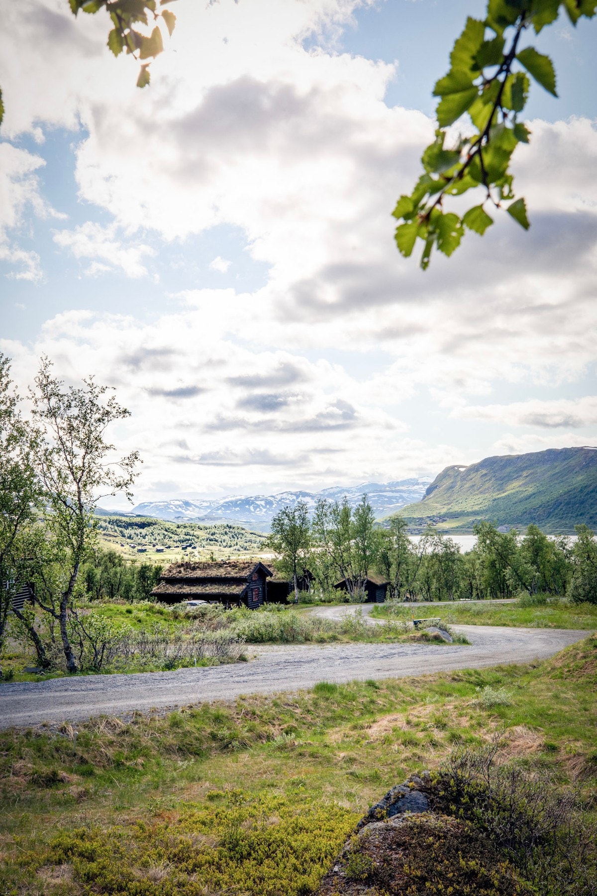 Sti like i nærheten som går til Børrenøse (1297 moh.) og til fjellvannet Tenlefjorden Galleribilde