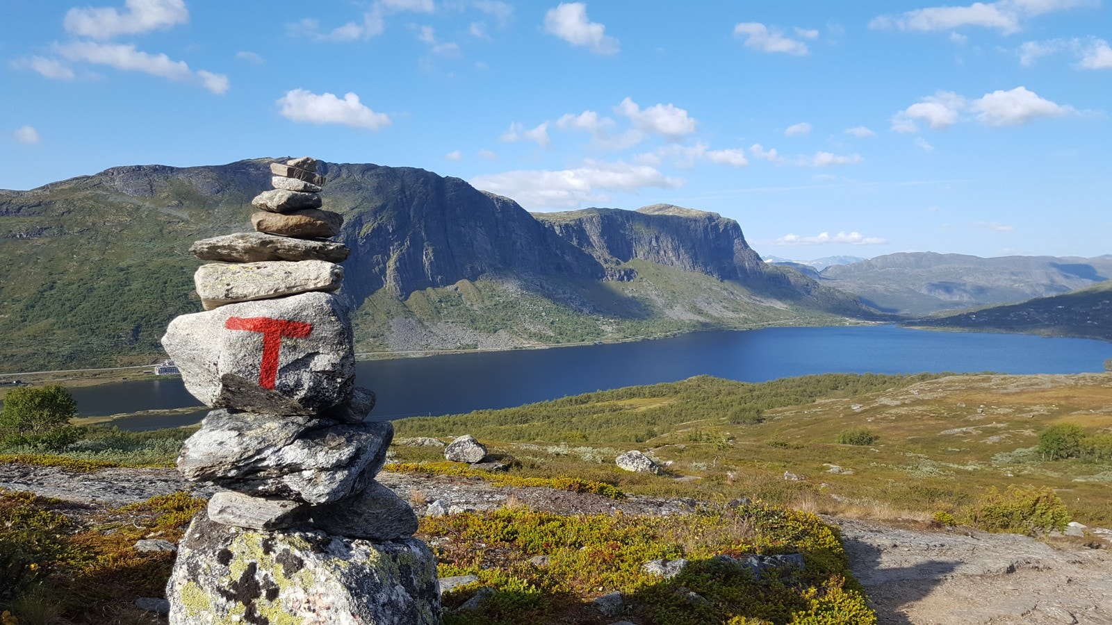 Gode og mange fiskevann. Fiskekort kan løses på Nystuen, Tyinkrysset og Tyinstølen Galleribilde