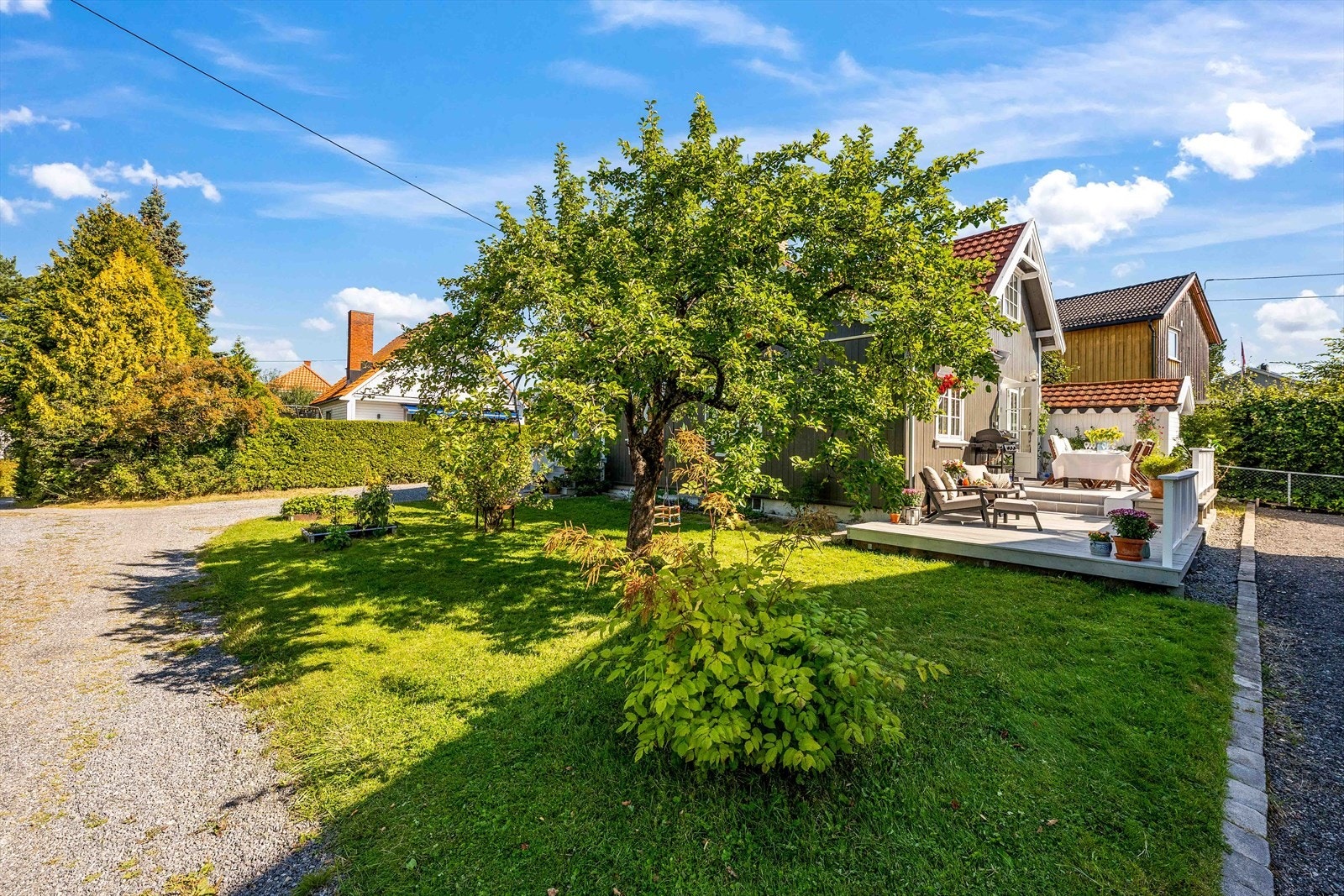 Koselig hage med blant annet epletre, bærbusker og rosebusker. Galleribilde