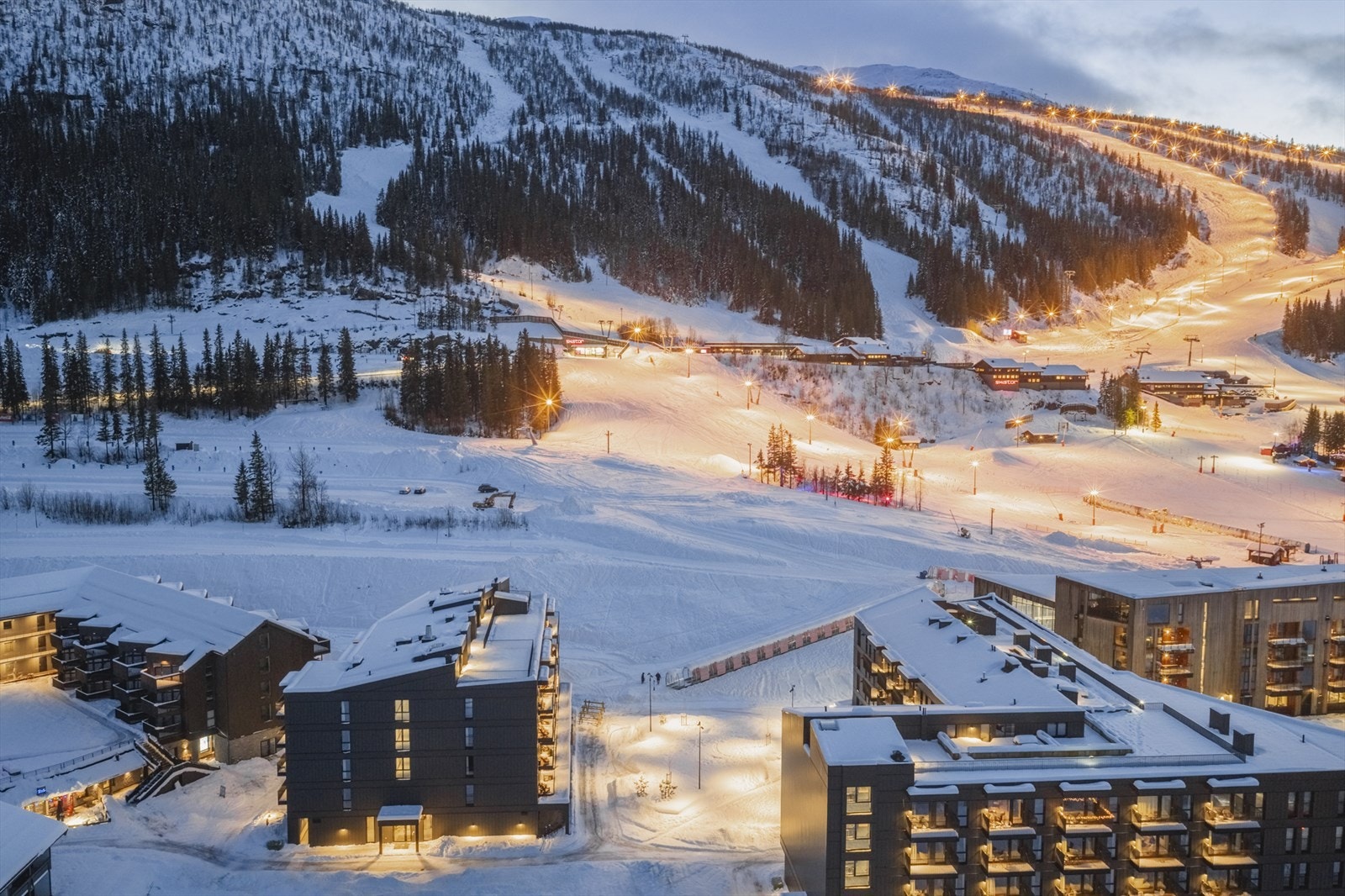 Ski inn / ut Galleribilde