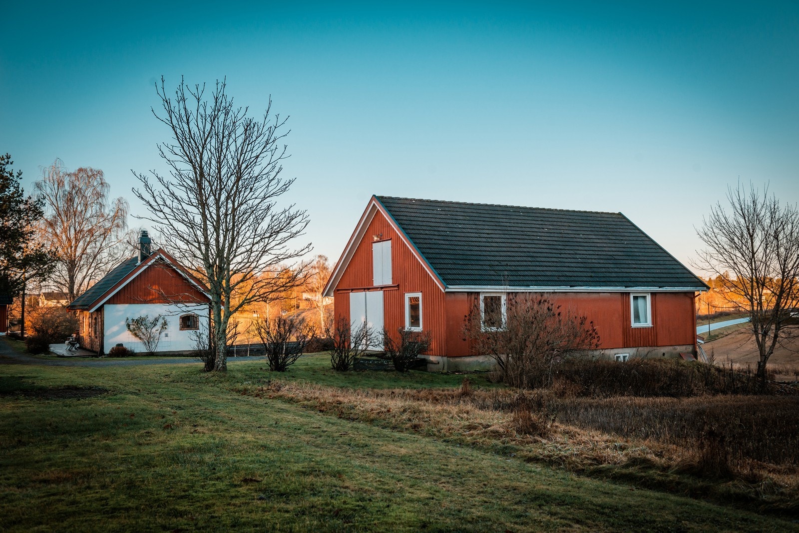 Tomten er på ca. 23,6 dekar Galleribilde