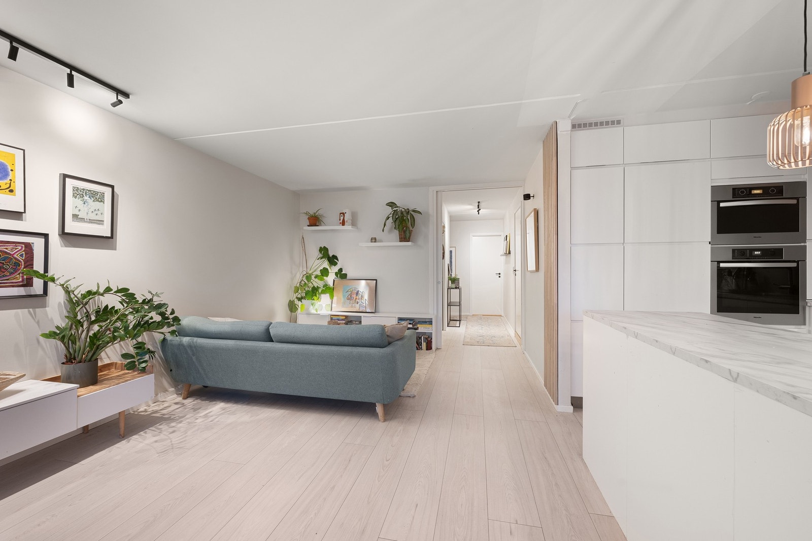 Sosial og funksjonell planløsning med oppholdsrom og soverom i hver sin ende av leiligheten. Galleribilde