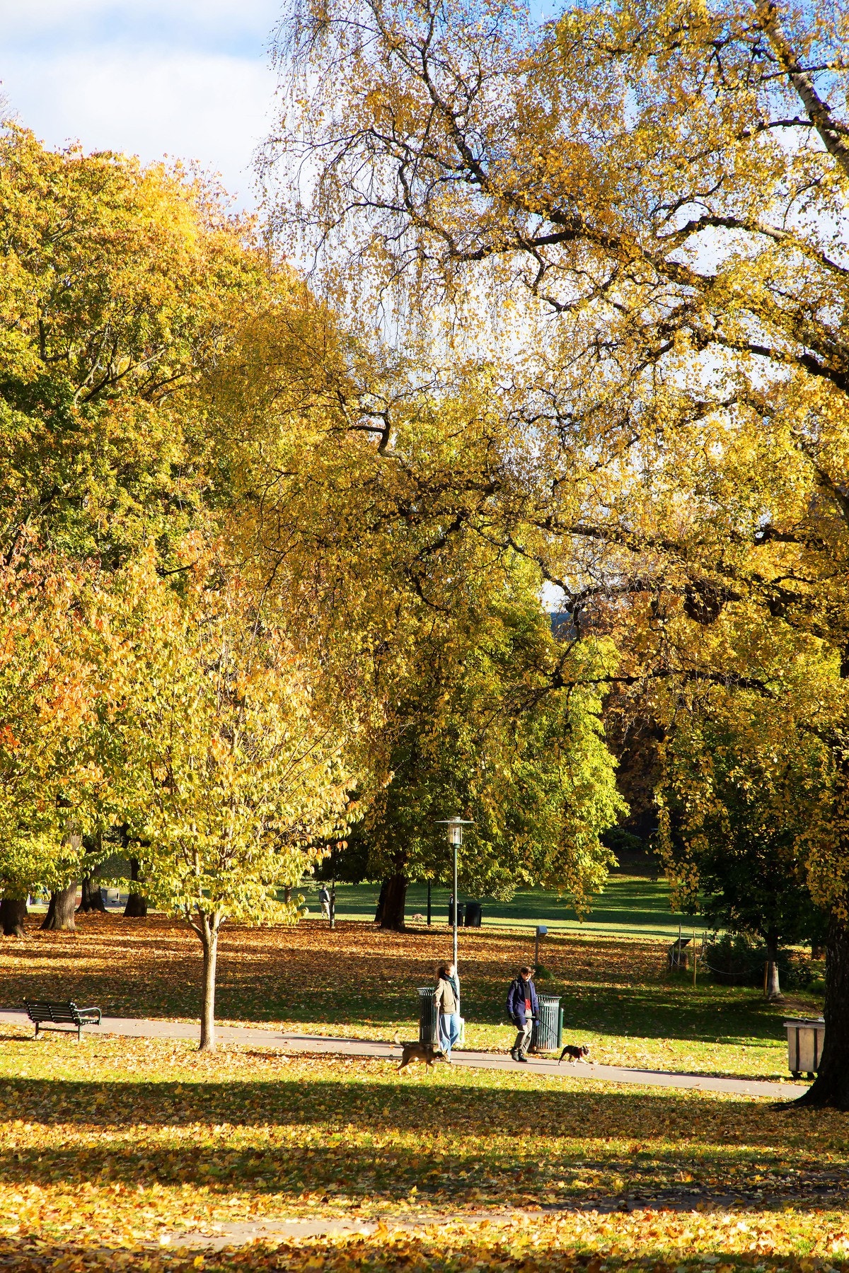 Kort vei til flere flotte parker, turmuligheter og rekreasjon. Galleribilde